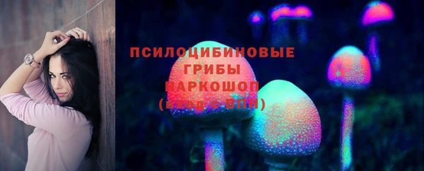 гашик Баксан