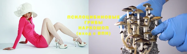 гашик Баксан