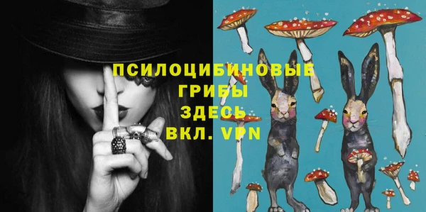 гашик Баксан